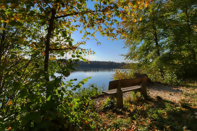 适应能力 适应能力