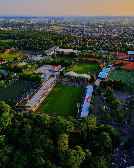 与此同时 与此同时