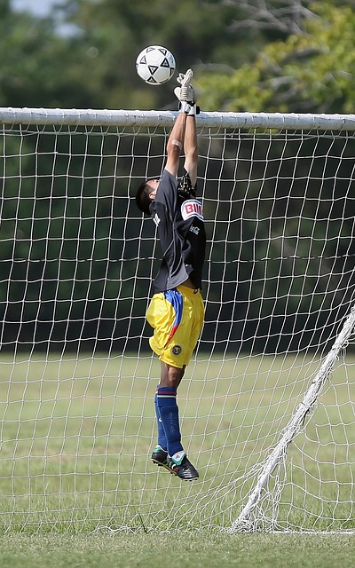 素質的高標 素質的高標