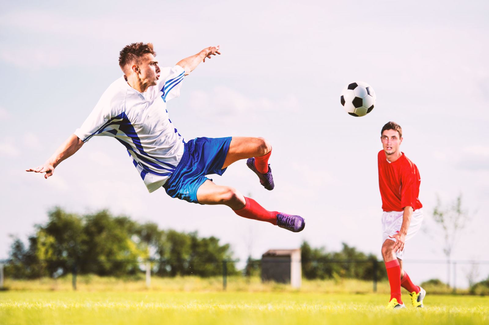 可依賴的 可依賴的