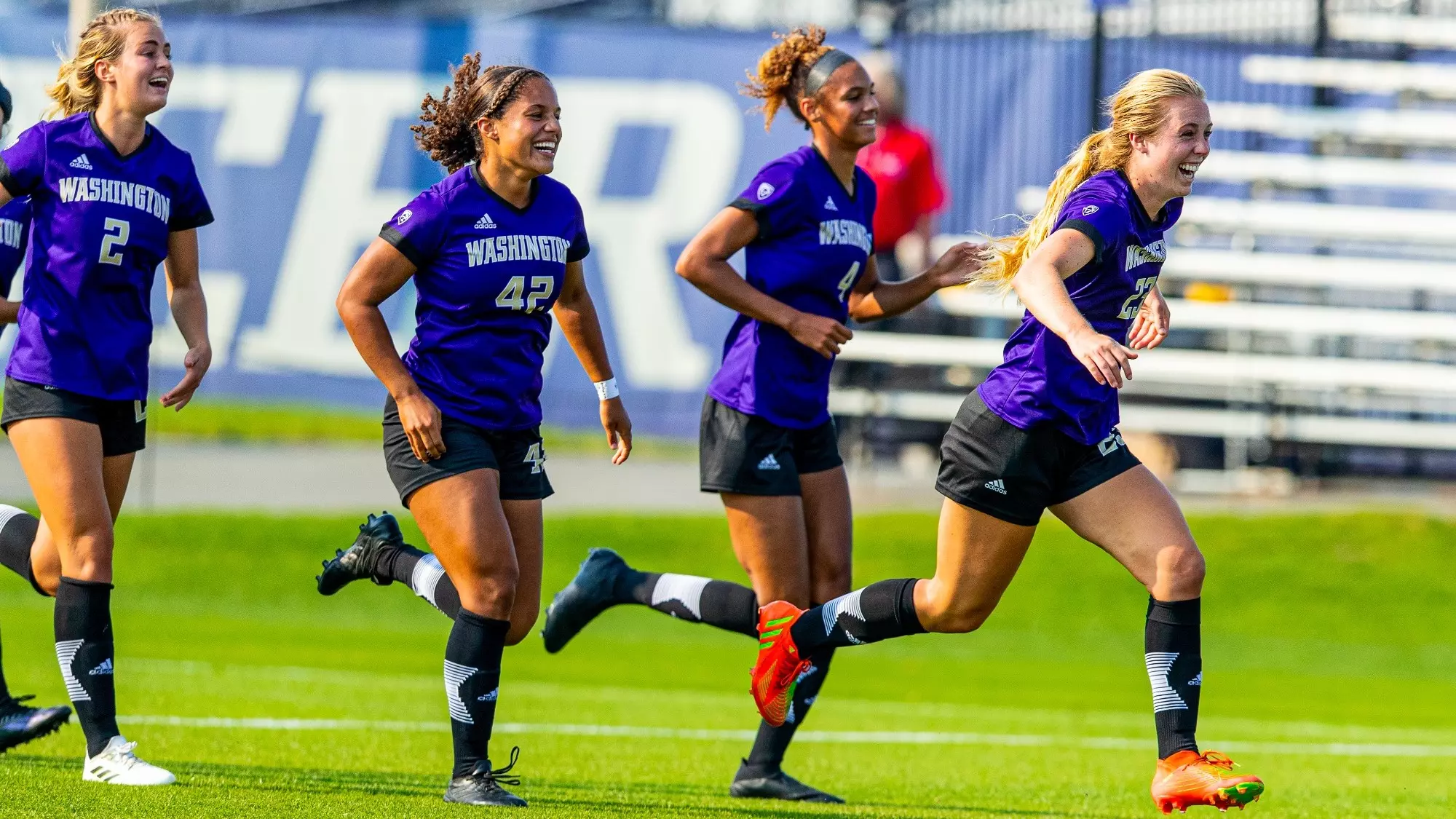 适应机能 适应机能