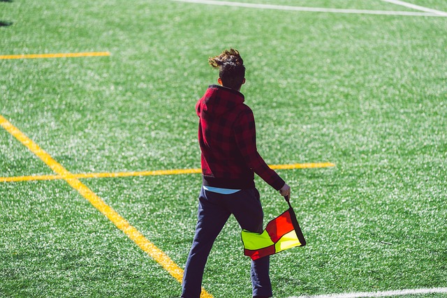 羽毛球选手 羽毛球选手